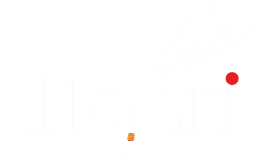 Mohini Dance school